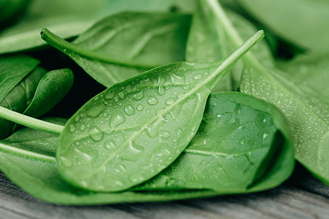 Spinach