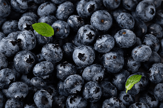 BlueBerry